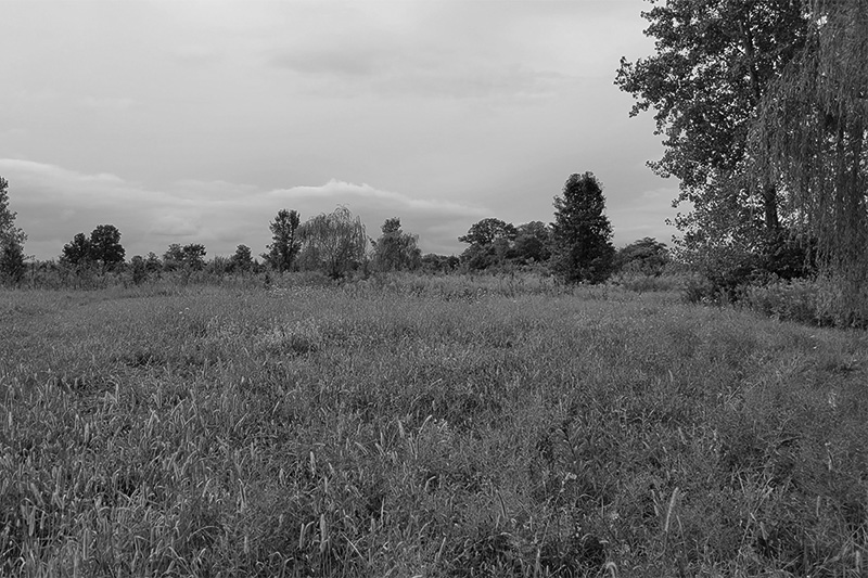 Ashville Uncommon site photo