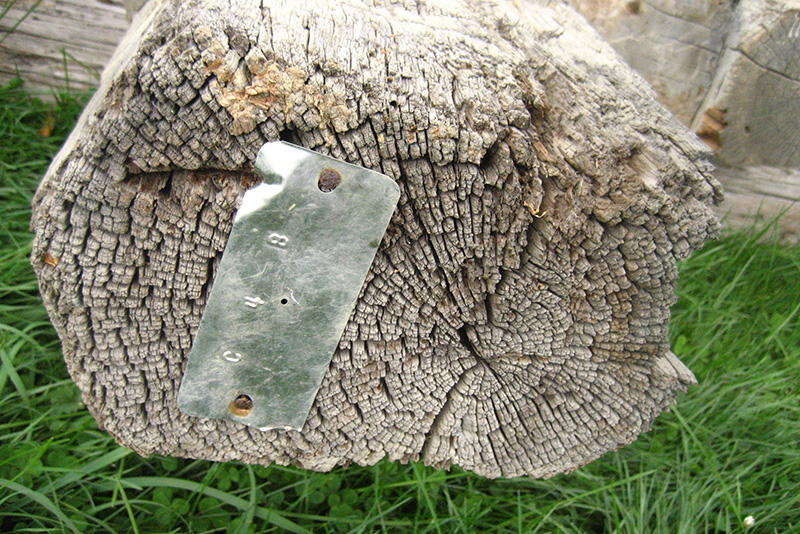 barn tags