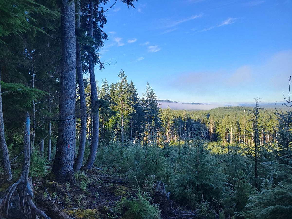 Nature is the new luxury